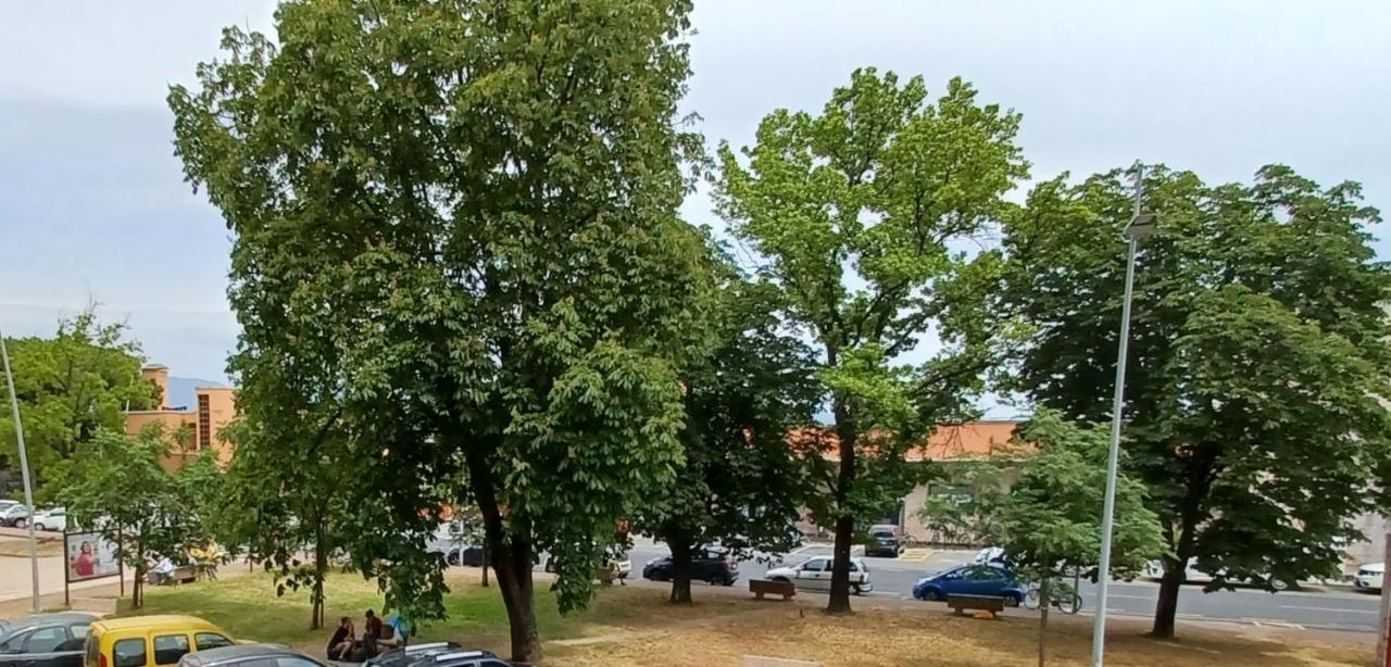 Luminosissimo Appartamento Viareggio Centro Exterior foto